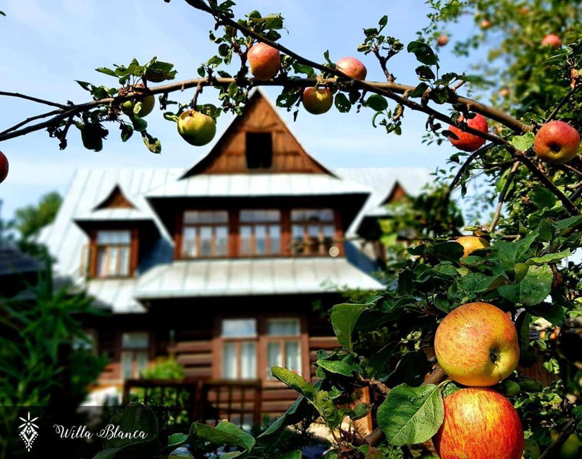 Willa Blanca Zakopane Bed & Breakfast Luaran gambar